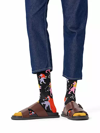 HAPPY SOCKS | Damen Socken LÖWE 36-40 black | 